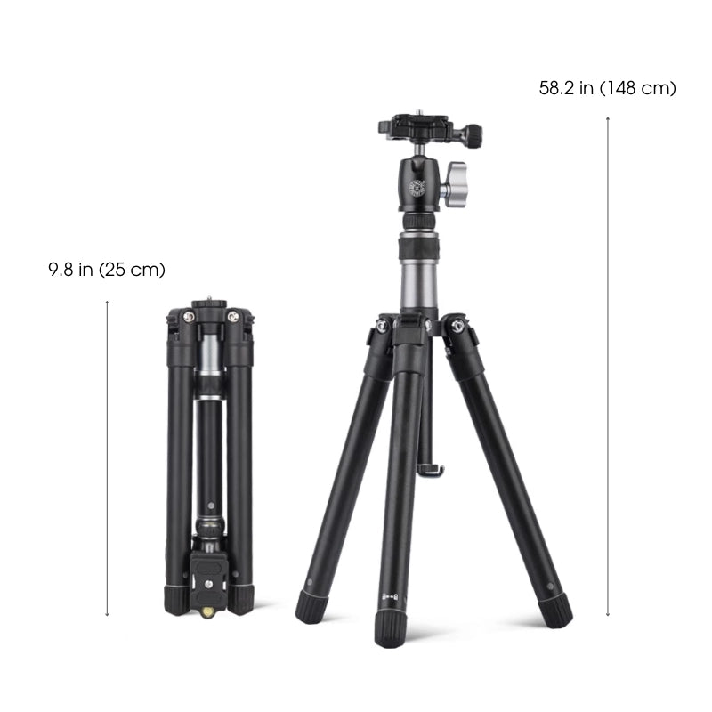 ArtMate - Kit d'art en noyer fait à la main (Édition Maître)